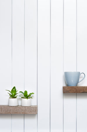 Houseplant -Front view of Indoor Pot plants over white background on the wooden shelf.の写真素材
