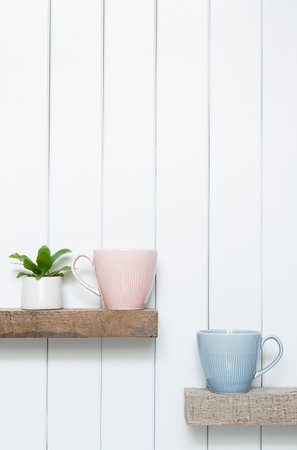 Houseplant -Front view of Indoor Pot plants over white background on the wooden shelf.の写真素材