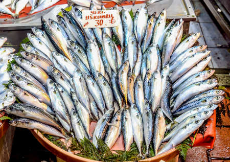 Fresh seafood on ice at the fish market