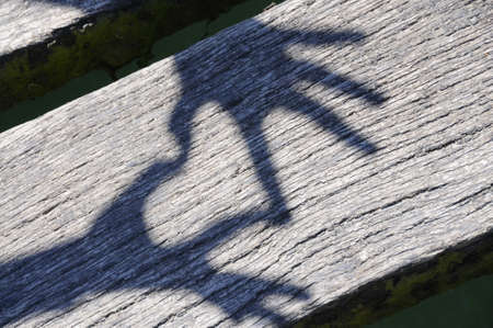 Shadow of hands forming heart on wooden planks.の写真素材