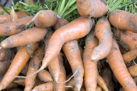 Shot of pile of carrots at french marketの写真素材