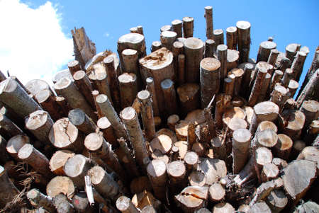 Shot of wood pile in austria beyond blue skyの写真素材