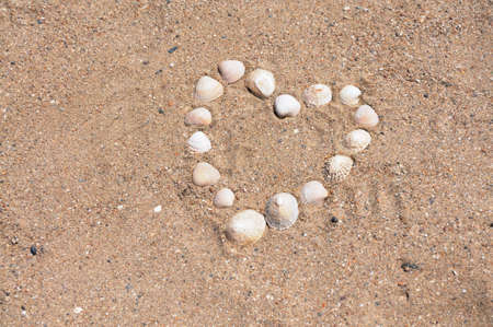 Heart built from different Bivalvia at the beachの写真素材