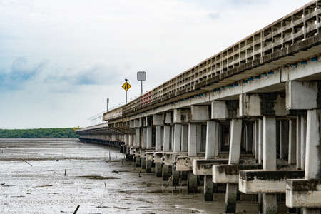 Concrete bridge across the mangrove forestの写真素材