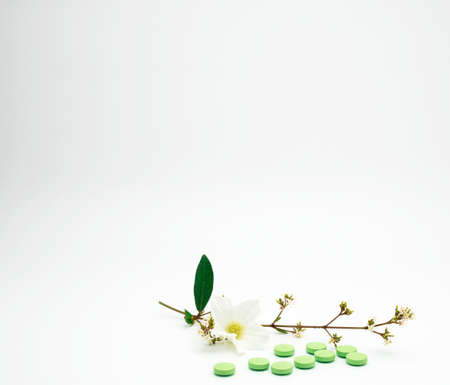 Green vitamin and supplement tablet pills with flower and branch on white background with copy...