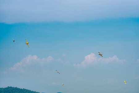 RAYONG, THAILAND-NOVEMBER 18, 2017 : Air Race1 World Cup Thailand 2017 at U-Tapao Naval Air Base in Thailandのeditorial素材