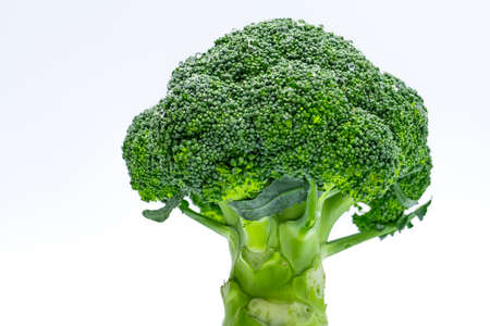Macro shot detail of Green broccoli (Brassica oleracea). Vegetables natural source of betacarotene, vitamin c, vitamin k, fiber food, folate. Fresh broccoli cabbage isolated on white background.の写真素材