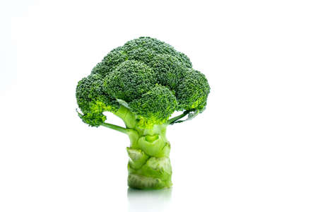 Green broccoli (Brassica oleracea). Vegetables natural source of betacarotene, vitamin c, vitamin k, fiber food, folate. Fresh broccoli cabbage isolated on white background with copy space.の写真素材