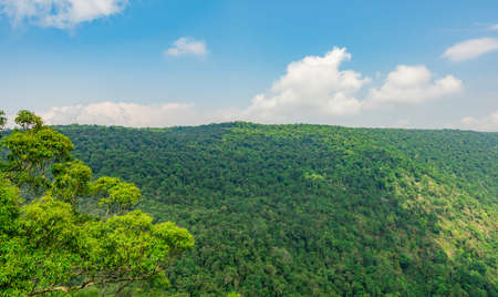 Beautiful view of tropical rainforest at Pha Diao Dai cliffs of Khao Yai national park in Thailand. ...