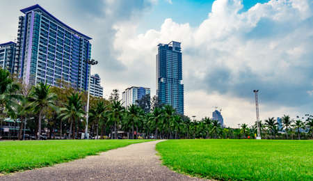 Green grass field, pedestrian road and coconut trees at the city park beside the sea. Modern building backgroundのeditorial素材