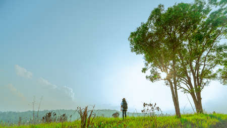 Young woman tourist with hat and backpack stand on the hill with green grass field and couple big tree on sunshine day with blue sky and cumulus clouds at sunset. Single woman traveling alone concept.の写真素材