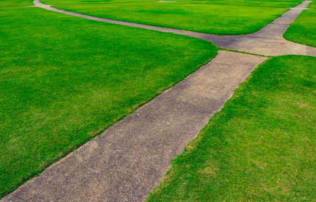 Green grass field with line pattern texture background and walkwayの写真素材