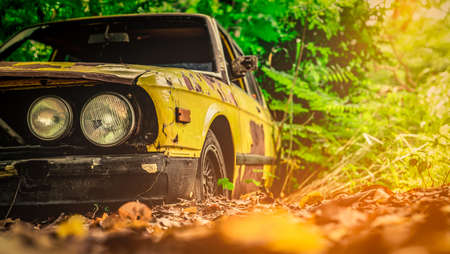 Old wrecked car in vintage style. Abandoned rusty yellow car in the forest. Closeup front view headlights of rusty wrecked abandoned car on blurred green tree background . Art of abandoned used car.の写真素材