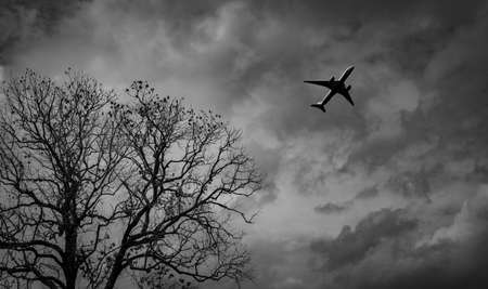 Silhouette commercial airplane on grey sky and clouds with death tree. Failed vacation. Hopeless and despair concept. Moody sky and transport plane. Sad emotional scene. Background of aircraft flight.の写真素材
