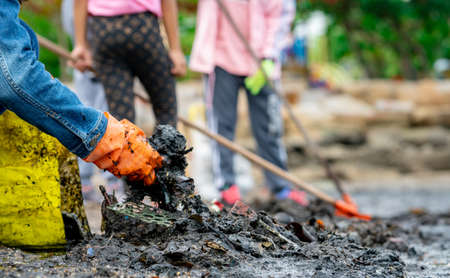 Adult and children volunteers collecting garbage on the sea beach. Beach environment pollution. Tidying up rubbish on beach. People wear orange gloves picking garbage up in to yellow bag.の写真素材