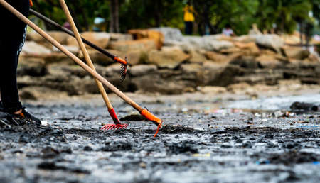 Volunteers use the rake to sweep the trash out of the sea. Beach cleaner collecting garbage on the...