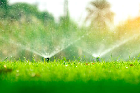 Automatic lawn sprinkler watering green grass. Sprinkler with automatic system. Garden irrigation system watering lawn. Water saving or water conservation from sprinkler system with adjustable head.の写真素材