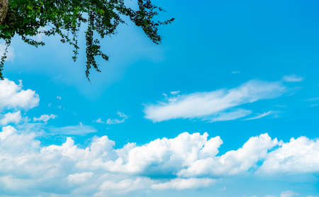 Beautiful blue sky and white cumulus clouds abstract background. Cloudscape background. Blue sky and...