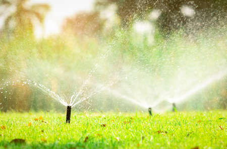 Automatic lawn sprinkler watering green grass. Sprinkler with automatic system. Garden irrigation system watering lawn. Sprinkler system maintenance service. Home service irrigation sprinkler.の写真素材