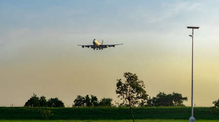 Commercial airline. Passenger plane landing above green trees at airport with beautiful sunset  sky...