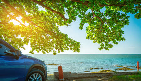 Blue sport SUV car parked by the tropical sea under umbrella tree. Summer vacation at the beach. Summer travel by car. Road trip. Automotive industry. Hybrid and electric car concept. Summer vibes.の写真素材