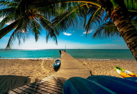 Beautiful view tropical paradise beach of resort. Coconut tree, wooden bridge, and kayak at resort on sunny day. Summer vacation concept. Summer vibes. Golden sand beach of resort with blue sky.の写真素材