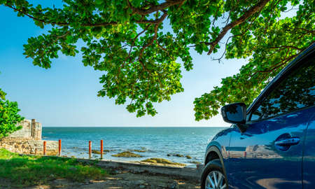 Blue sport SUV car parked by the tropical sea under umbrella tree. Summer vacation at the beach. Summer travel by car. Road trip. Automotive industry. Hybrid and electric car concept. Summer vibes.の写真素材