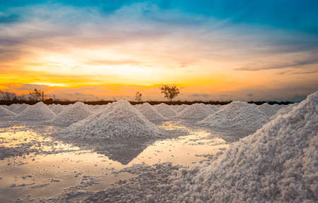 Salt farm in the morning with sunrise sky. Organic sea salt. Evaporation and crystallization of sea...