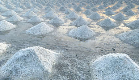 Brine salt farm at Samut Sakhon, Thailand. Organic sea salt. Evaporation and crystallization of sea...