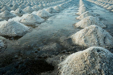 Sea salt farm at Samut Sakhon, Thailand. Organic sea salt. Evaporation and crystallization of sea...
