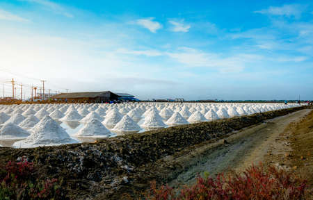 Sea salt farm and barn in Thailand. Organic sea salt. Raw material of salt industrial. Sodium Chloride. Solar evaporation system. Iodine source. Worker working in farm on sunny day with blue sky.の写真素材