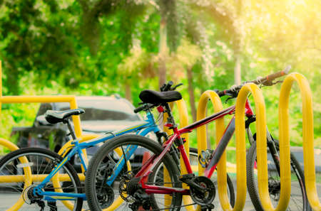 Bicycle sharing systems. Bicycle for rent business. Bicycle for city tour at bike parking station. Eco-friendly transport. Urban economy public transport. Bike station in the park. Healthy lifestyle.の写真素材