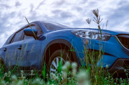 Grass flower with green leaves on blurred low angle view of blue SUV car. Luxury SUV car parked outside with white sky and clouds. Road trip travel in summer vacation. Car parked in grass field.の写真素材