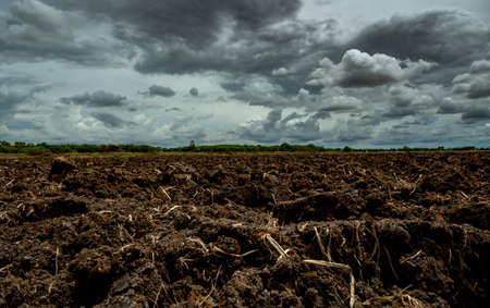 Agriculture plowed field. Black soil plowed field with stormy sky. Dirt soil ground in farm. Tillage...