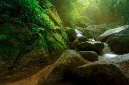 Rock or stone at waterfall. Beautiful waterfall in jungle. Waterfall in tropical forest with green tree and sunlight. Waterfall is flowing in jungle. Nature background. Green season travel in Thailandの写真素材