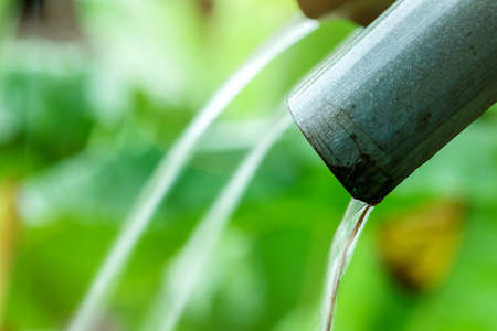 Selective focus on dirty rain gutter on blurred green leaves of plant beside home in rural of...