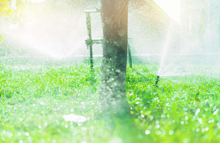 Lawn sprinkler watering green grass. Sprinkler with automatic system. Garden irrigation system watering lawn. Sprinkler system maintenance service. Home service irrigation sprinkler. Water splashing.の写真素材