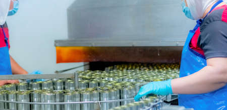 Canned fish factory. Food industry.  Food processing production line. Food manufacturing industry....