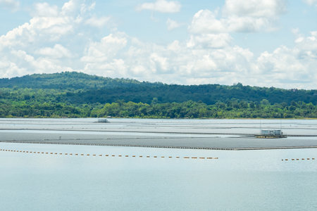 Floating solar farm or floating photovoltaics. Solar power. Landscape of solar panels floating on...