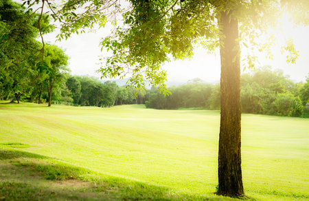 Golf course with green turf landscape. Green grass field with forest and mountain as background. Golf course at hotel or resort. Landscape of golf course and trees. Green sports field. Green field.の写真素材