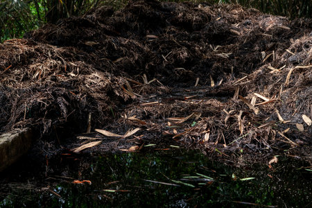 Compost pile in the garden. Compost build healthy soil. Organic gardening. Decomposing plant pile....