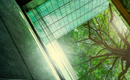 Sustainble green building. Eco-friendly building in modern city. Sustainable glass office building with tree for reducing carbon dioxide. Office with green environment. Corporate building reduce CO2.の写真素材