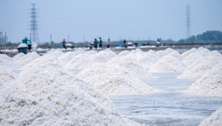 Sea salt farm and blur worker working on farm. Brine salt. Raw material of salt industrial. Sodium...