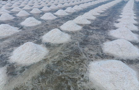 Sea salt farm. Pile of brine salt. Raw material of salt industrial. Sodium Chloride mineral. Evaporation and crystallization of sea water. White salt harvesting. Agriculture industry. Traditional farmの写真素材