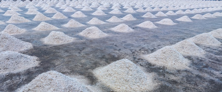 Sea salt farm. Pile of brine salt. Raw material of salt industrial. Sodium Chloride mineral. Evaporation and crystallization of sea water. White salt harvesting. Agriculture industry. Traditional farmの写真素材