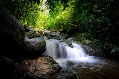Waterfall is flowing in jungle. Waterfall in green forest. Mountain waterfall. Cascading stream in lush forest. Nature background. Rock or stone at waterfall. Water sustainability. Water conservation.の写真素材