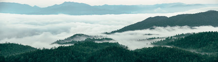 Panorama view of foggy mountain landscape. Aerial view of dark green trees in mountain forest and fog in winter. Fog covered dark green forest landscape. Nature landscape. Green environment backgroundの写真素材