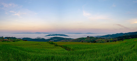 Landscape of green and gold rice terraces and mountain ranges and fog in the morning. Fog covered mountains and beautiful morning sky. Nature landscape. Rice farm field village in valley, Thailand.の写真素材