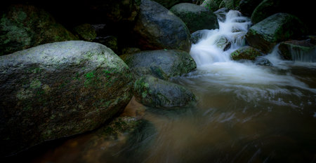 Waterfall is flowing in jungle. Waterfall in green forest. Mountain waterfall. Cascading stream in...