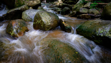 Waterfall is flowing in jungle. Waterfall in green forest. Mountain waterfall. Cascading stream in...